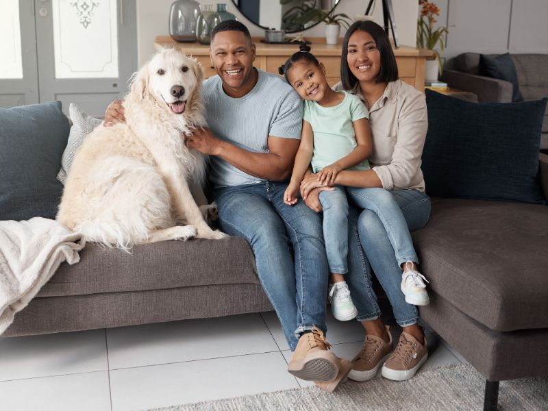 Convivência segura com crianças e pets em casa